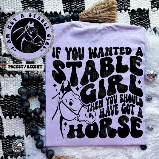 If You Wanted A Stable Girl Then You Should Have Got A Horse - Tee