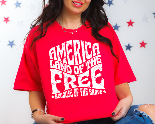 America Land Of The Free Because Of The Brave