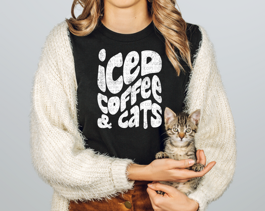 Iced Coffee & Cats